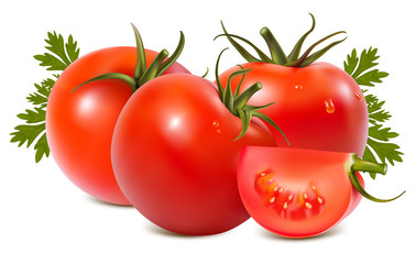 Photorealistic vector illustration. Tomato with water drops.