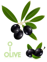 Photorealistic vector illustration. Black olives with leaves.