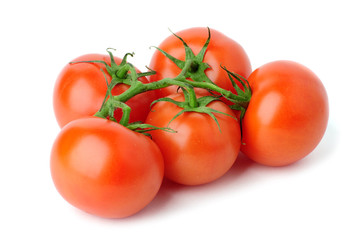 Red tomatoes on white background
