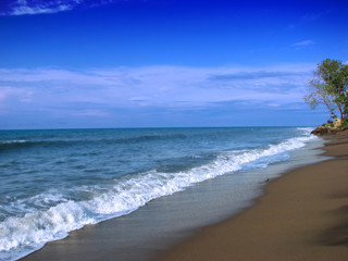 Fototapeta na wymiar Sandy calm sea shore with waves and a trees
