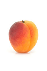Single apricot