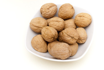 Noci 11
