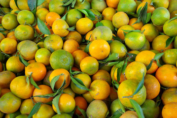 Frisch geerntete Mandarinen