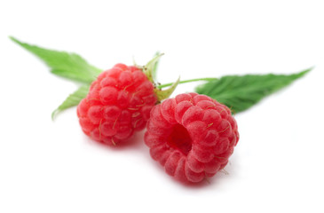 Raspberries