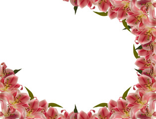 Flower frame