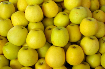 Äpfel