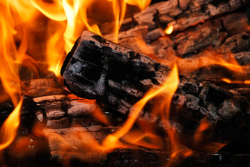 Closeup of the burning fire woods