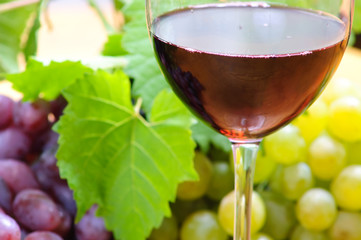 Wine in glass