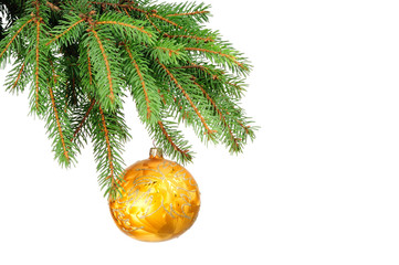 Pine branches and christmas decoration