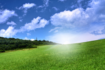 Obraz na płótnie Canvas Green field and white clouds