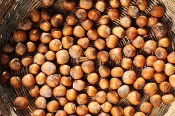 nuts