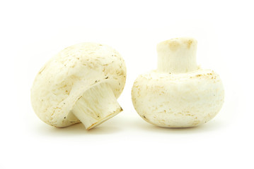 champignon mushrooms