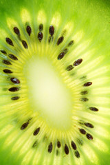 Back projected (lighted) cross sections of kiwi