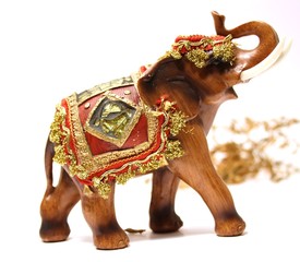 Obraz premium Säugetier - Elefant