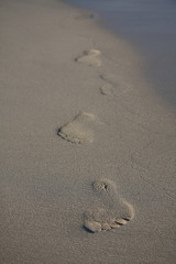 Strand2