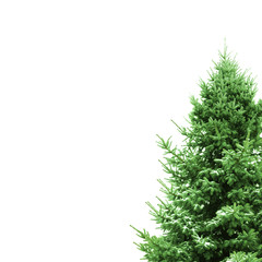 Grüner Weihnachtsbaum mit Textfreiraum