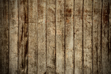 Fototapeta premium wood