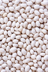 White Haricot beans close up