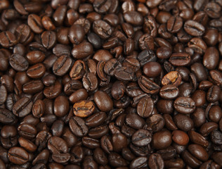 Espresso Beans