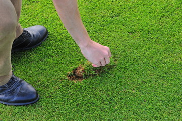 Golfer legt divot zurück