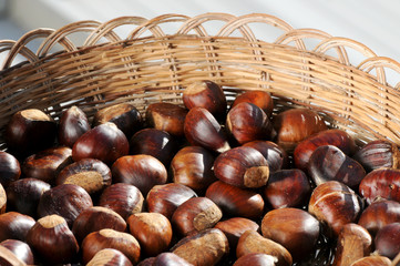 chestnuts