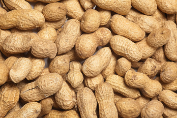 Fototapeta premium peanuts