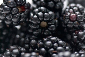 blackberry
