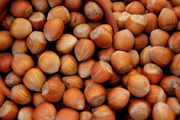 Panier de noisettes