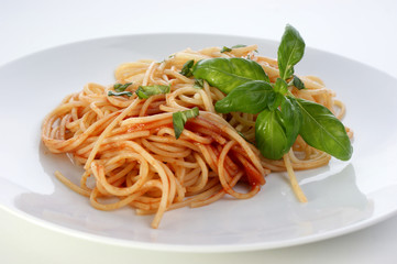 spaghetti with organic home made tomato sauce