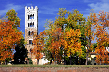 A bell tower of Lucca - obrazy, fototapety, plakaty