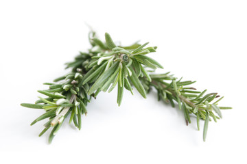 Rosemary