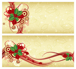 4x9 Rack Card Brochure Template