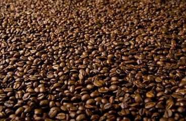 Kaffeebohnen