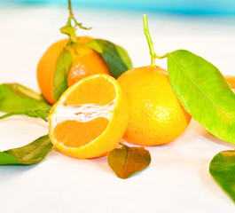 Frische Clementinen mit Blättern