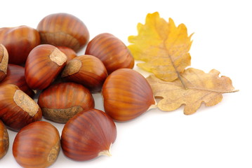châtaignes et feuilles mortes