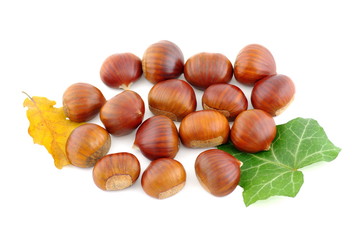 châtaignes sur  feuille une verte et une feuille morte