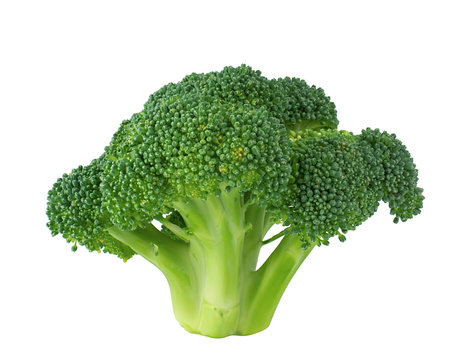 Fresh broccoli close-up on a white background