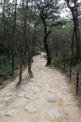 Path, South Korea