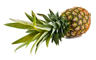 Fototapeta premium Pineapple