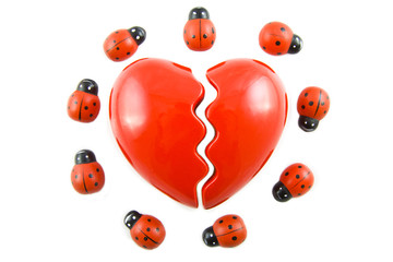 Broken ladybug love