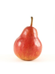 Red pear on white studio isolated background.