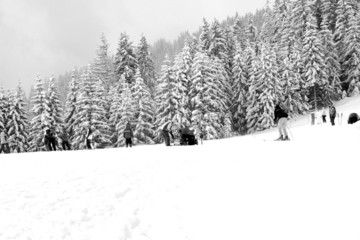 Skier on snowy mountainside