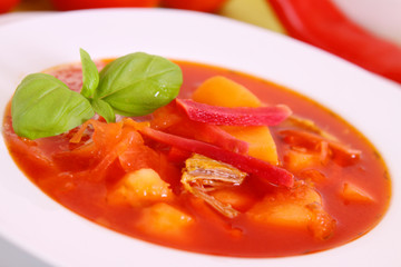 gemüsesuppe,suppe