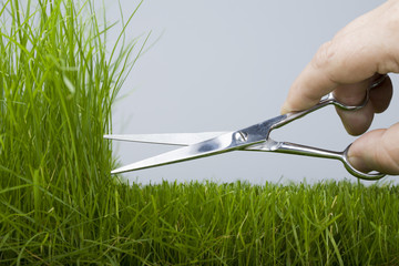 Hand mower cutting scissors a natural grass.