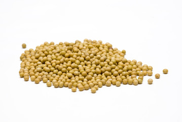 soybeans with white backgrounds