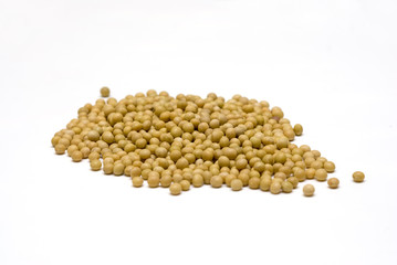 soybeans with white backgrounds