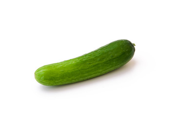 Cucumber