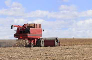 Obraz premium Soybean Harvest