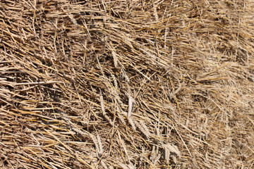 A Bale of a Recently Harvested Straw Crop.