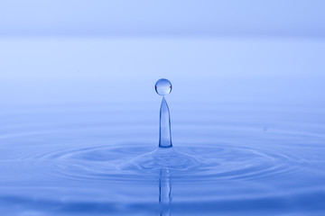 goutte
